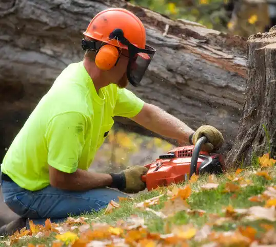 tree services Carolina Shores